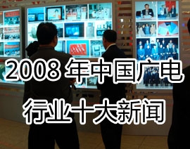 2008���й������ҵʮ������