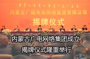 ���ɹ�����缯�ž��н�����ʽ